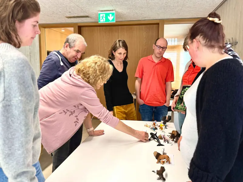 OrganisationsZoo Illustration